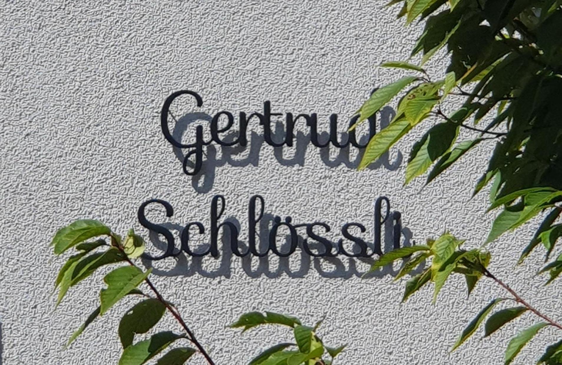 2-4 Zimmer Apartments Stilvoll Im Gertrud Schloessli - Zentral Ruhig سانت غالن المظهر الخارجي الصورة